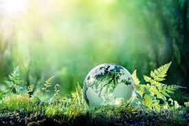 transition eco