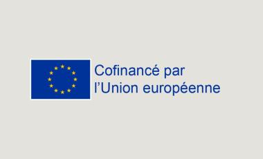 Logo FSE +