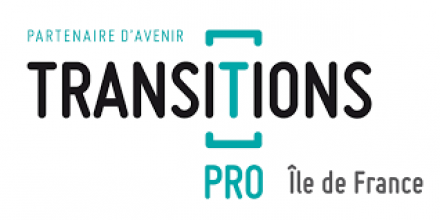 Logo Transitions Pro IDF